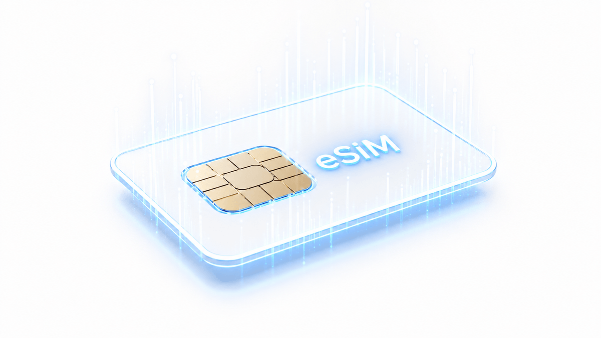 An eSIM card with an active data plan.